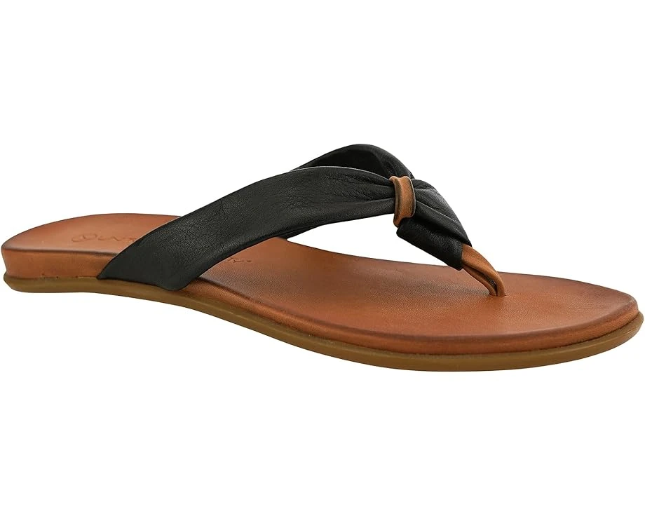 Unity In Diversity Kira 02 1 Unity In Diversity Kira 02